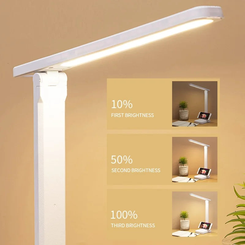 LED Desk Lamp