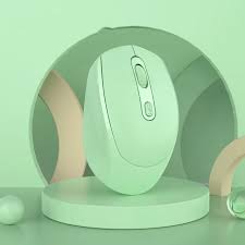 Wireless Silent Mouse